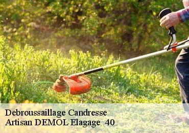 Debroussaillage  candresse-40180 Artisan DEMOL Elagage  40