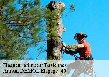 Elagueur grimpeur  bastennes-40360 Artisan DEMOL Elagage  40
