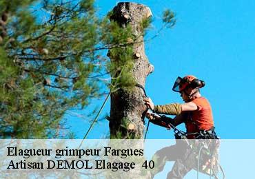 Elagueur grimpeur  fargues-40500 Artisan DEMOL Elagage  40