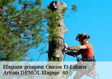 Elagueur grimpeur  onesse-et-laharie-40110 Artisan DEMOL Elagage  40