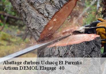 Abattage d'arbres  uchacq-et-parentis-40090 Artisan DEMOL Elagage  40
