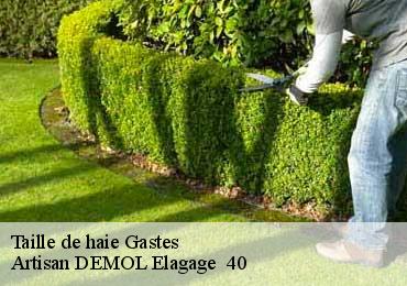 Taille de haie  gastes-40160 Artisan DEMOL Elagage  40