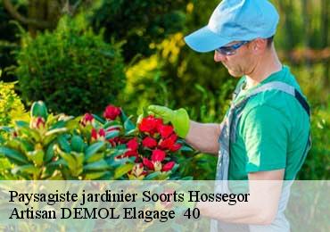 Paysagiste jardinier  soorts-hossegor-40150 Artisan DEMOL Elagage  40