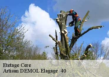 Etetage  cere-40090 Artisan DEMOL Elagage  40